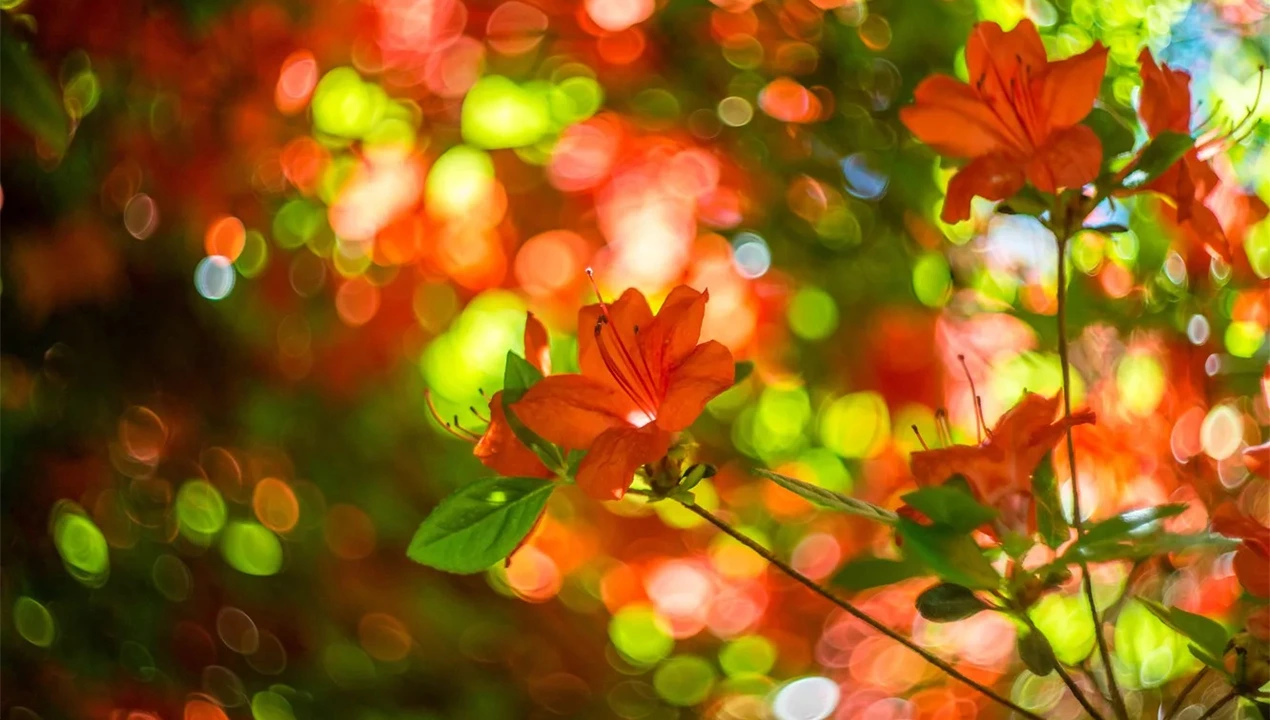 What is karma and what is sin?