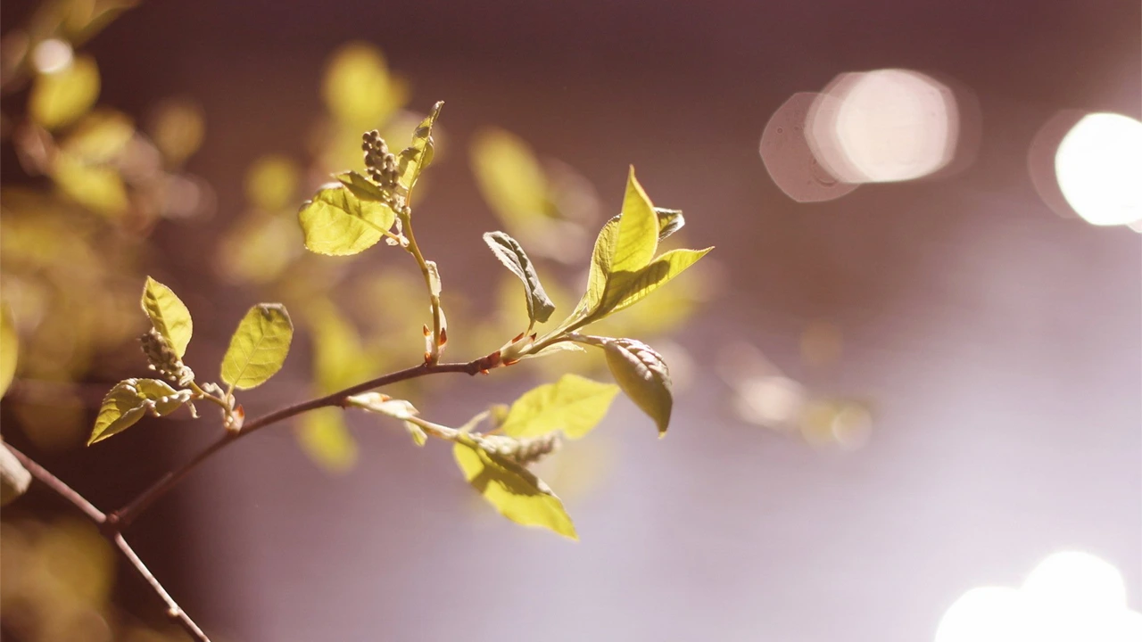 Everything Comes from God – and Leads to Love