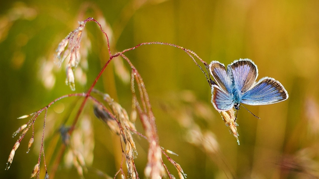 By changing in the present, we create a new future