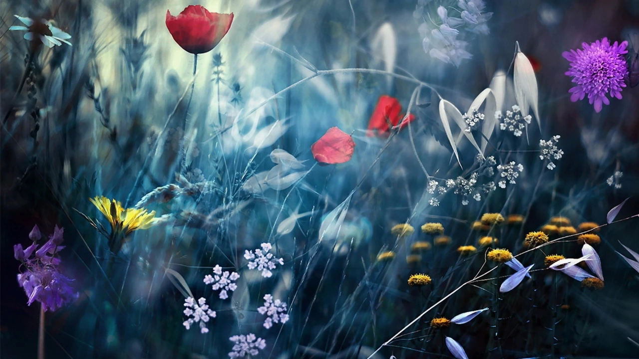 How to Hear the Voice of Your Soul?