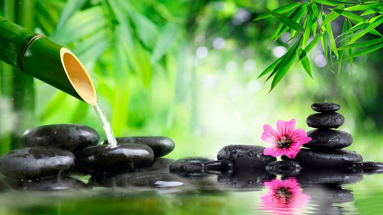 It's Not Stress That's Dangerous, But Our Attitude Towards It