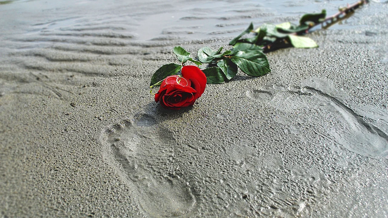 What is forgiveness and why do we forgive?
