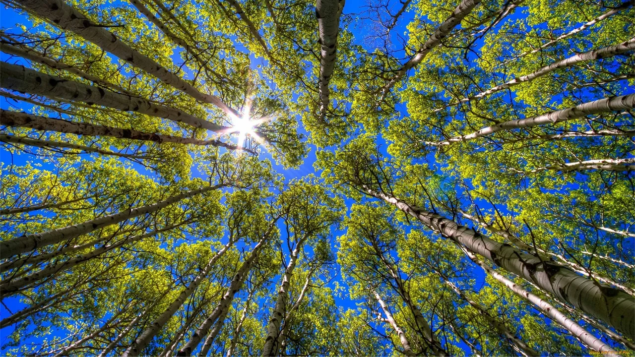 The roots of external events are hidden in the soul