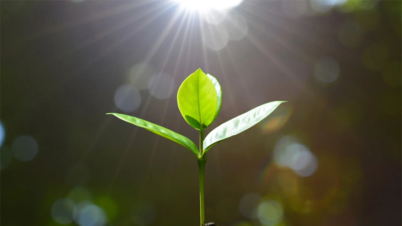 Overcoming pride is drawing closer to God