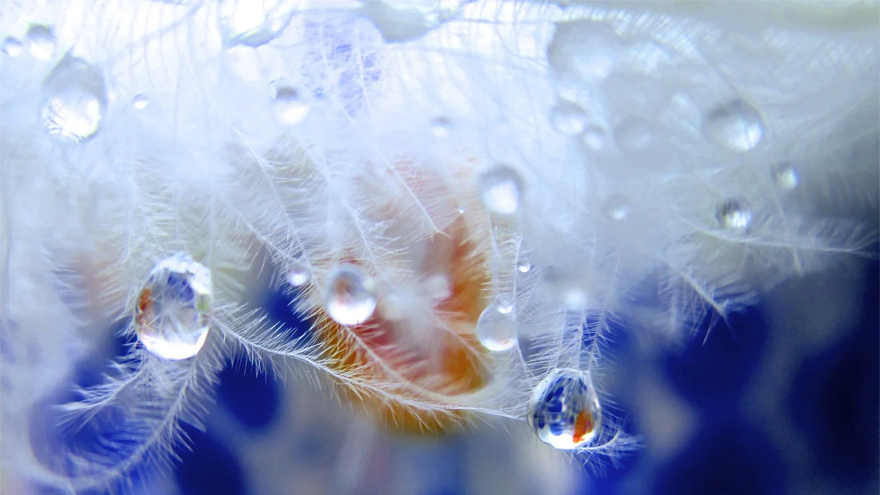Detaching from everything, stepping towards God