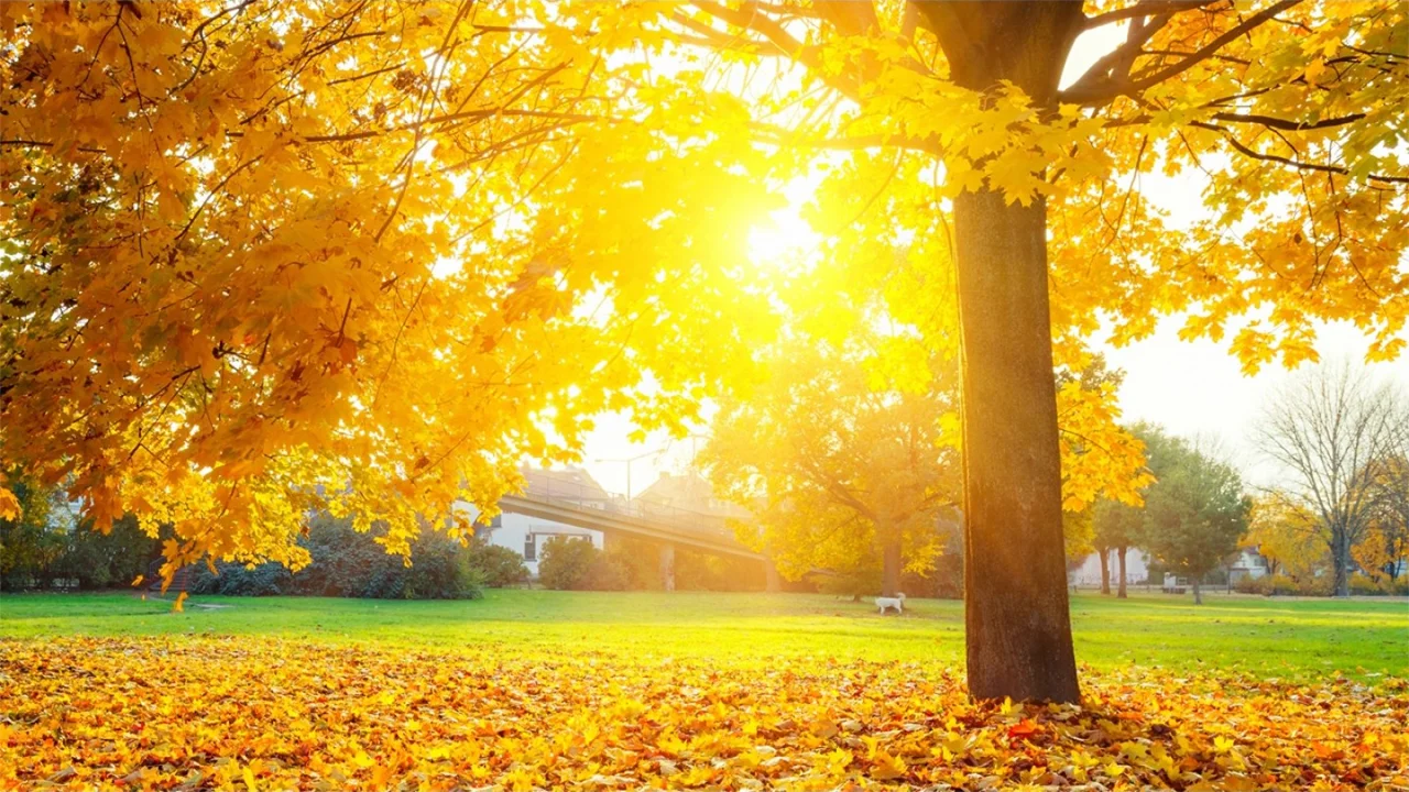 The egoism of the soul is the loss of love for God