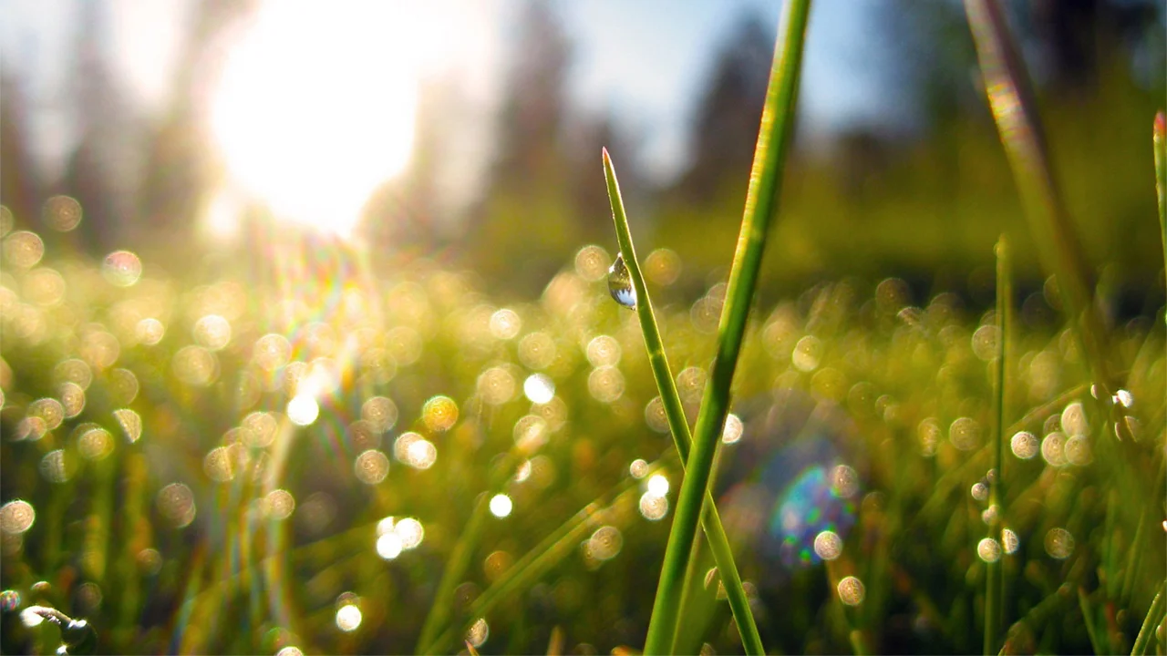 Stages of purifying the soul