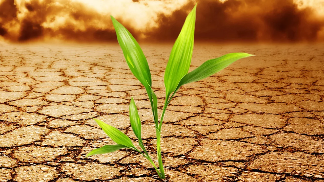 Pride: Causes and Overcoming