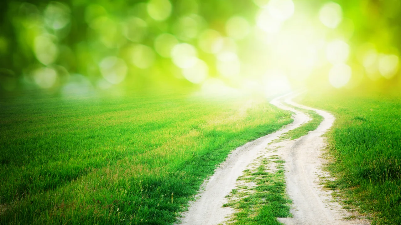 Goals and Values. Correct goals lead to correct behavior